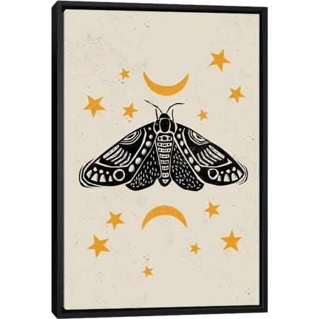 a moth with stars and crescents on it's back, against a white background