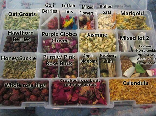 a plastic container filled with lots of different types of flowers and herbs to choose from