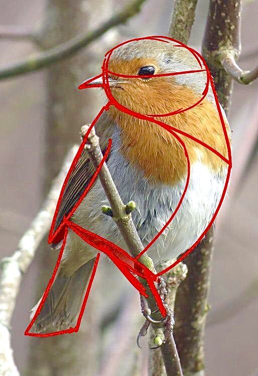 a bird sitting on top of a tree branch with a red wire around it's neck