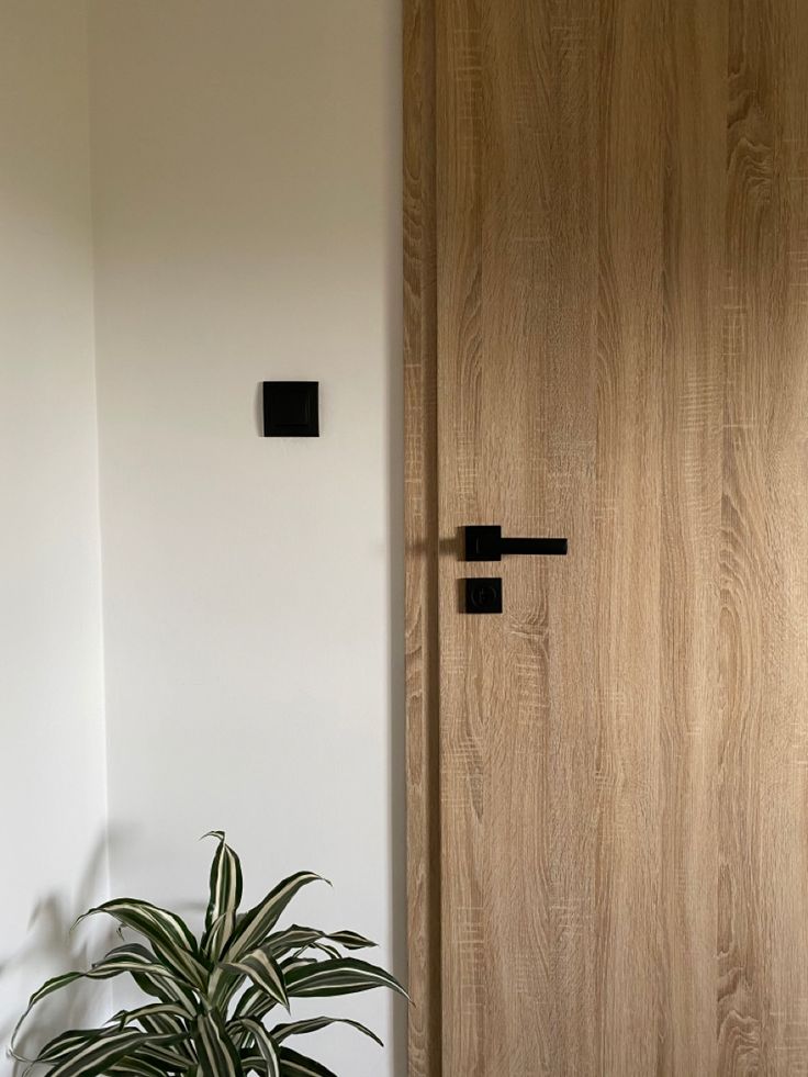 a potted plant sitting in front of a wooden door with black square knobs