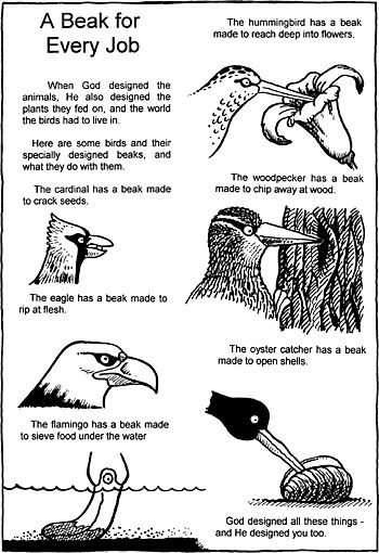 an image of birds that are in black and white