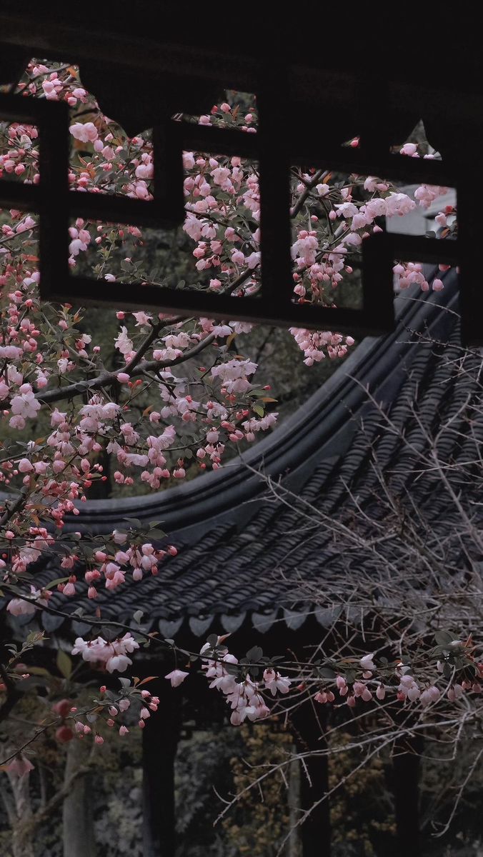 Aesthetic Pictures Flowers, Wallpaper Japan Aesthetic, Pictures Flowers, Phone Wallpaper Aesthetic, Wallpaper Estetika, Chinese Aesthetic, Nothing But Flowers, Flowers Aesthetic, Japan Aesthetic