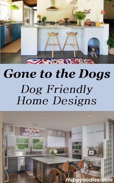 the inside and outside of a dog house with text overlay that reads, gone to the dogs dog friendly home designs