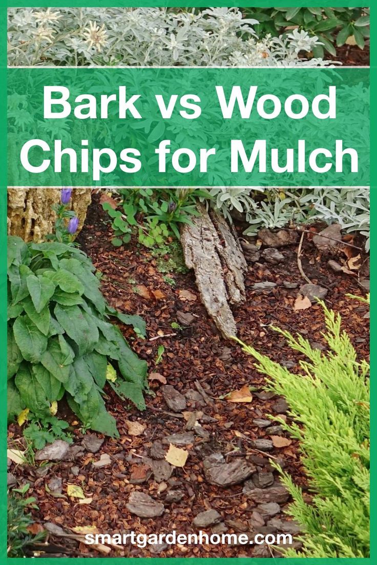 bark vs wood chips for mulch