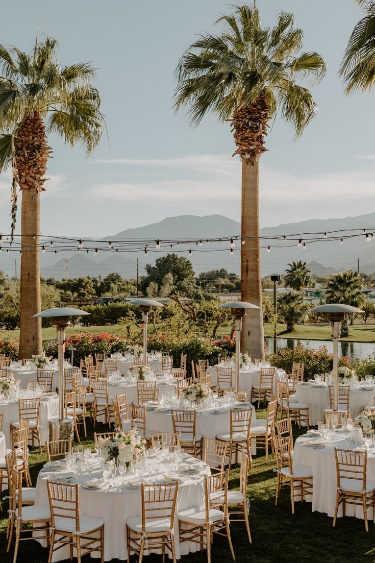 tables and chairs set up for an outdoor wedding reception with palm trees in the background