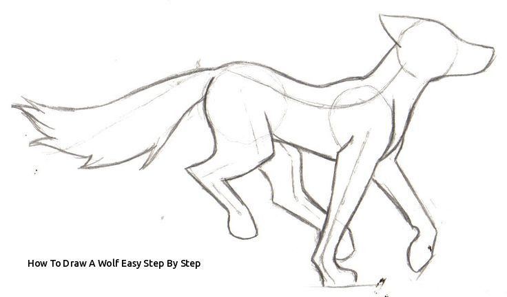 how to draw a wolf step by step