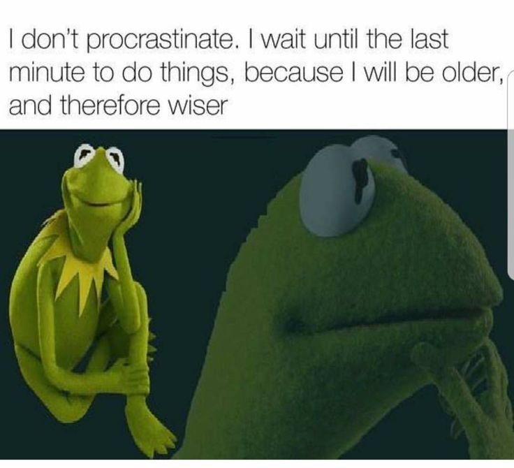 kermie the frog sitting on top of a computer mouse with caption that reads, i don't procrastateate, i wait until the last minute to do things, because i