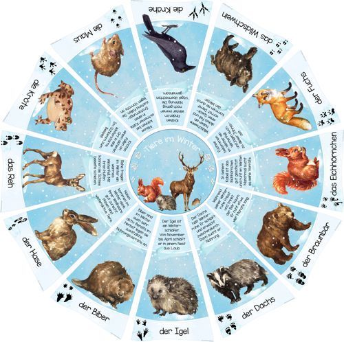 an animal wheel with different animals on it's sides and numbers in the middle