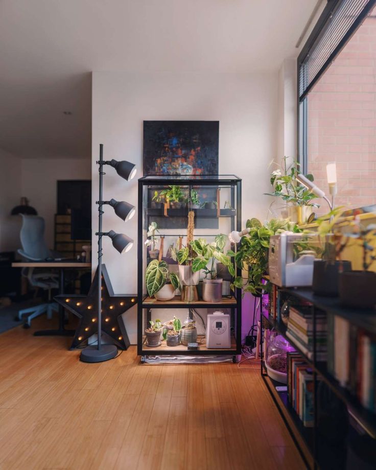 a room filled with lots of potted plants next to a wall mounted shelf full of books