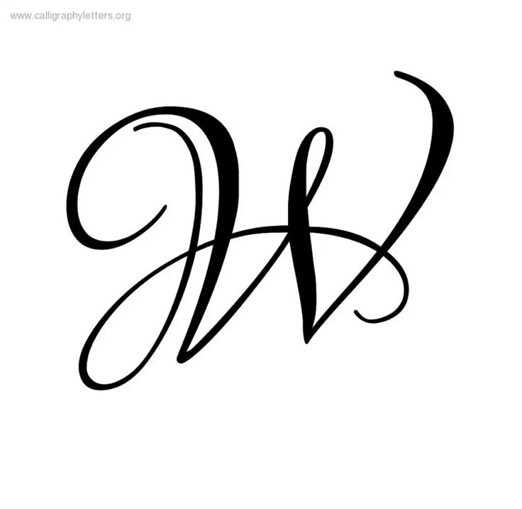 the letter w in cursive writing is black and white, with an elegant design