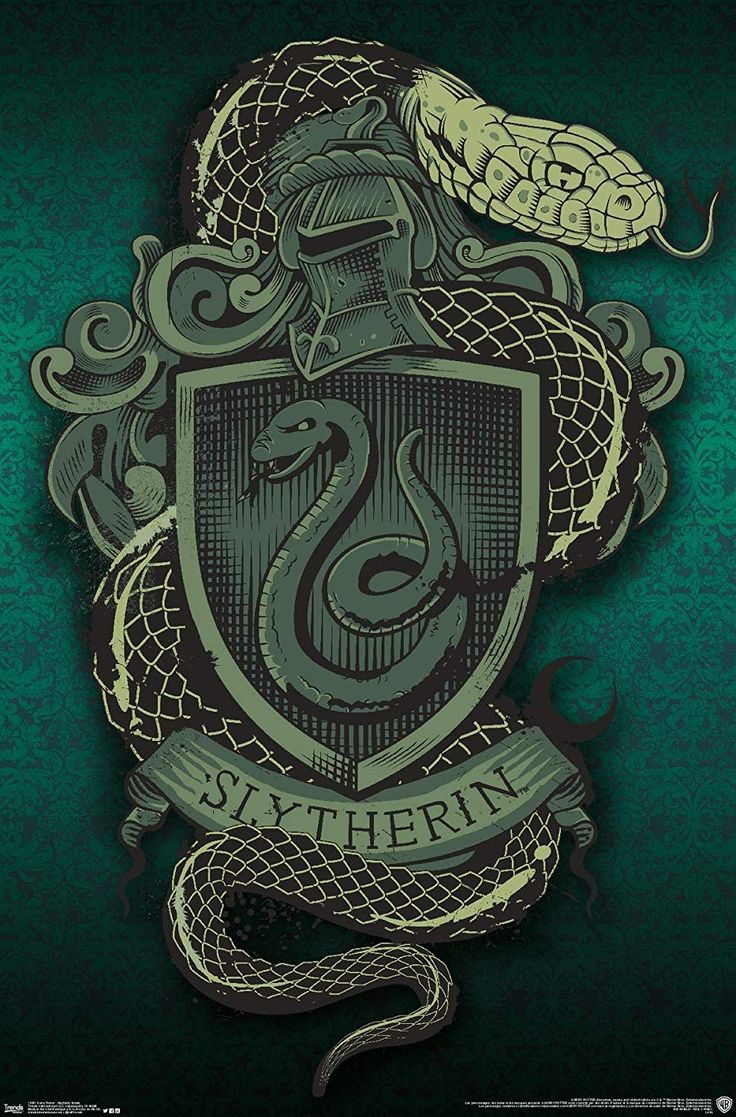 an image of a snake and shield with the words slythere on it