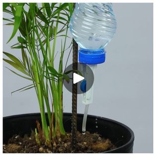 a plastic water bottle is attached to a plant