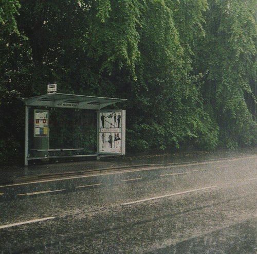 a bus stop sitting on the side of a wet road next to some green trees