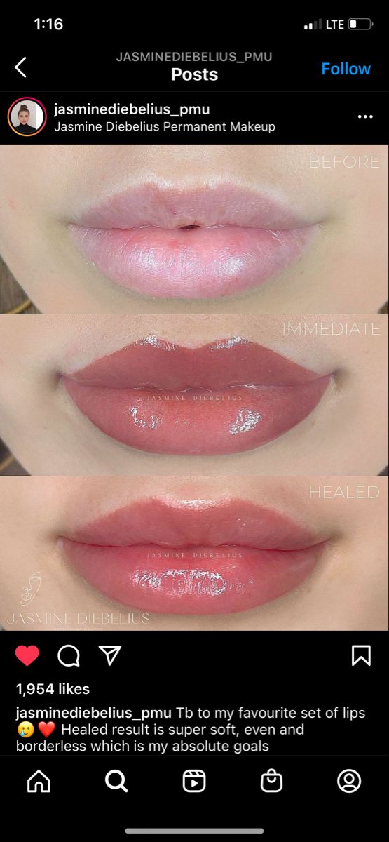 Lip Blushing Tattoo Colors Mauve, Natural Lip Blushing Tattoo Colors, Lip Blush Color Chart, Lip Blushing Tattoo Before And After Colors, Lip Blushing Tattoo Colors Natural, Lip Tint Tattoo, Lip Blushing Colors, Lip Tattoo Cosmetic, Permanent Lip Color Tattoo