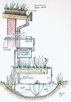 a drawing of a water well with plants growing out of it and drainage pipes running down the side