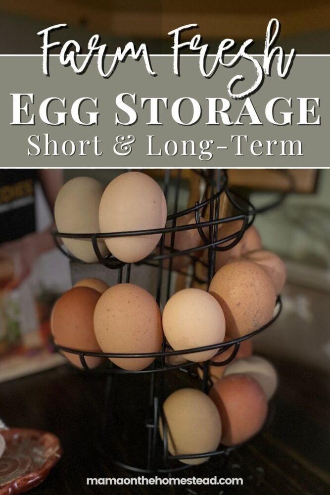 an egg storage rack with eggs in it and text overlay that reads farm fresh egg storage short & long - term