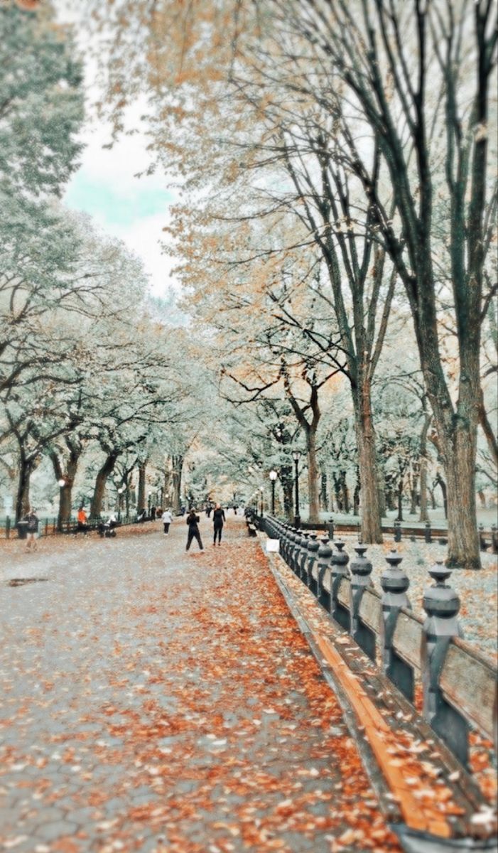 two people walking down a leaf covered path in the fall with trees lining both sides