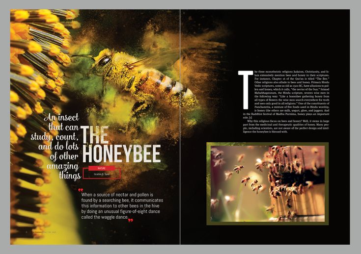 an open book with images of bees and flowers in the pages, including text that reads'the honeybee '