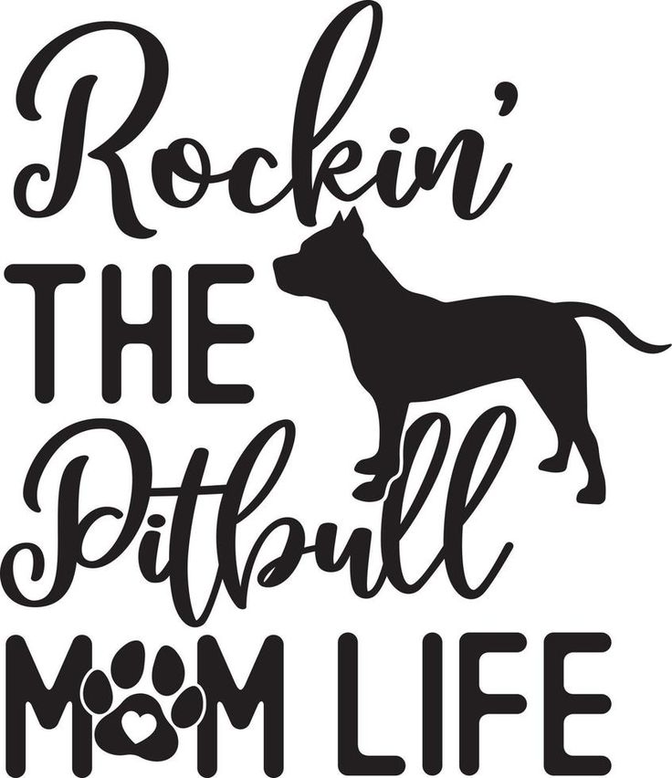 Rockin' The Pitbull Mom Life Pit Mom, Cricut Quotes, Pitbull Quotes, Mom Sayings, Dont Touch My Phone, I Love You Lord, Pitt Bulls, Pitt Bull, Big Boi