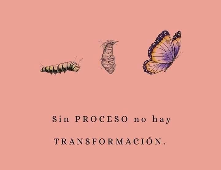 a pink background with three butterflies and the words sin proceso no hay transformacan