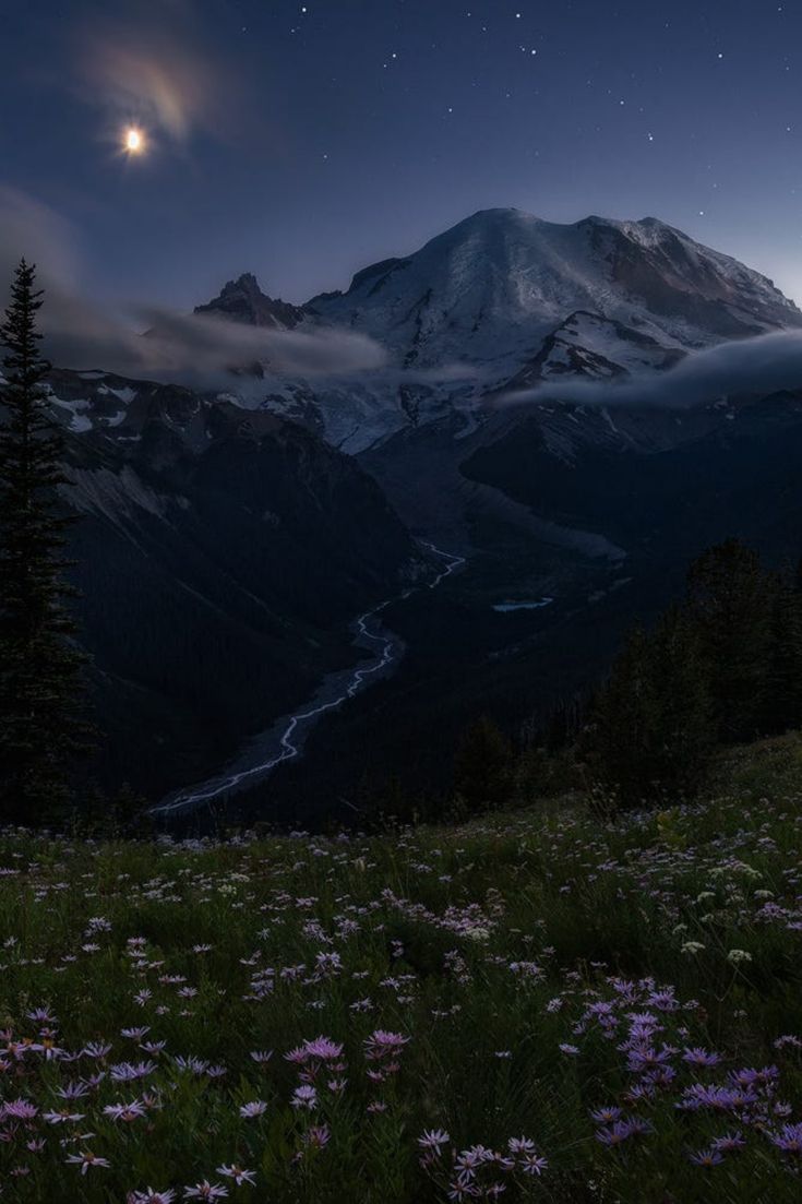 the moon shines brightly in the sky over a mountain range with wildflowers