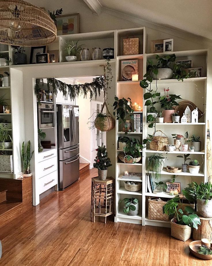 an open kitchen with lots of plants on the shelves