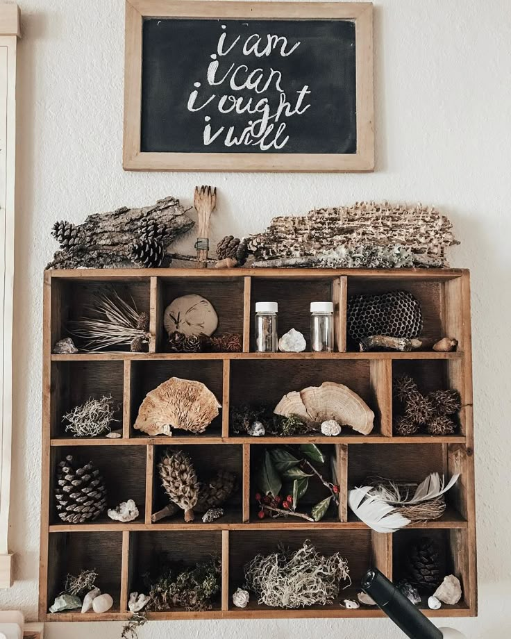 a wooden shelf filled with lots of different types of pine cones and other things next to a chalkboard