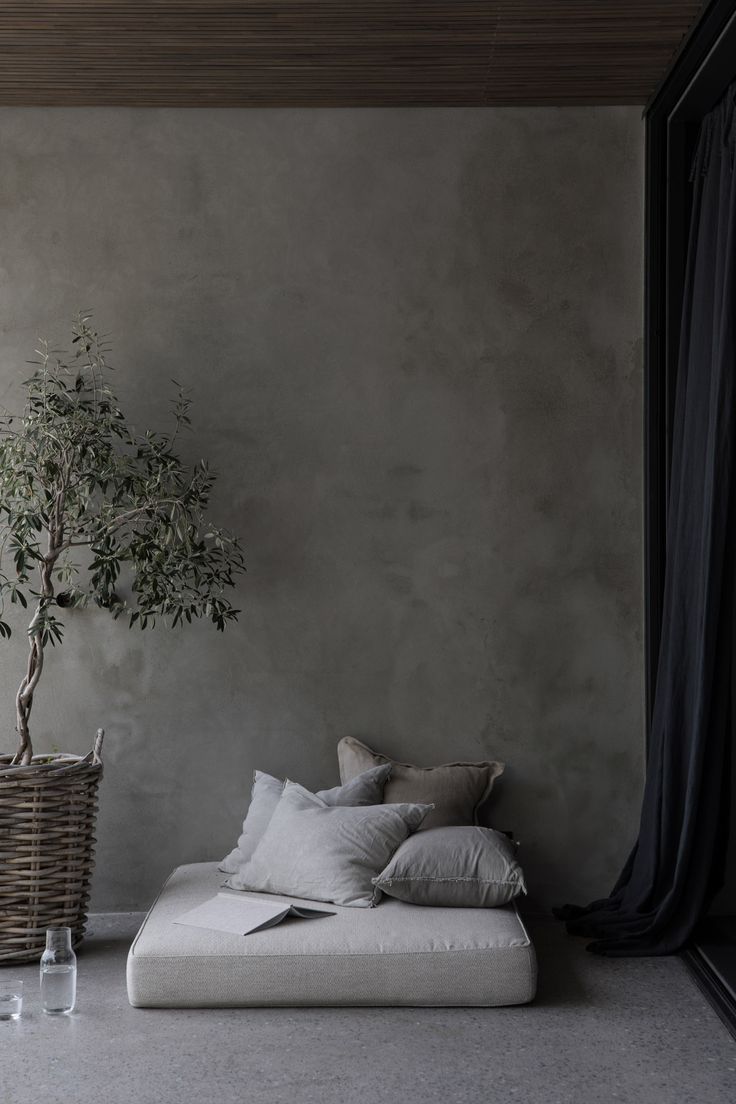 a white couch sitting next to a potted plant