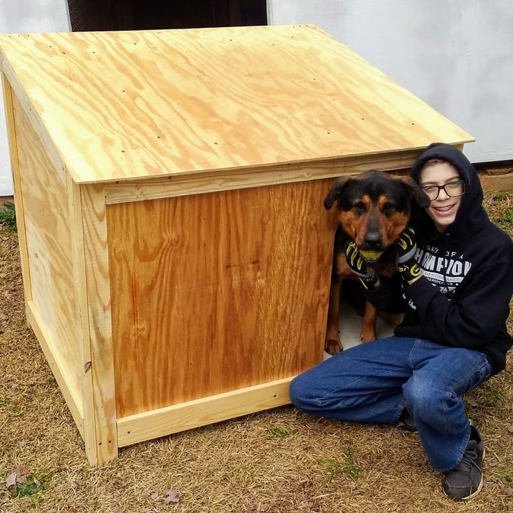 a man kneeling down next to a dog house with a black and brown dog in it