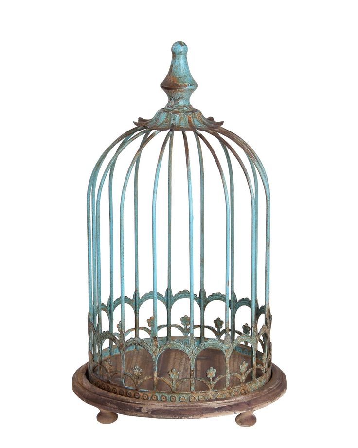 an old birdcage with birds in it