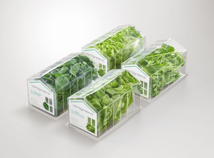 three clear boxes filled with lettuce on top of a white table next to each other