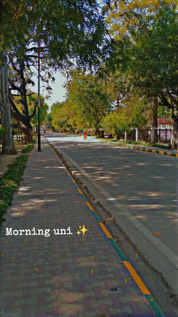 an empty street with trees on both sides and the words morning uni written in white