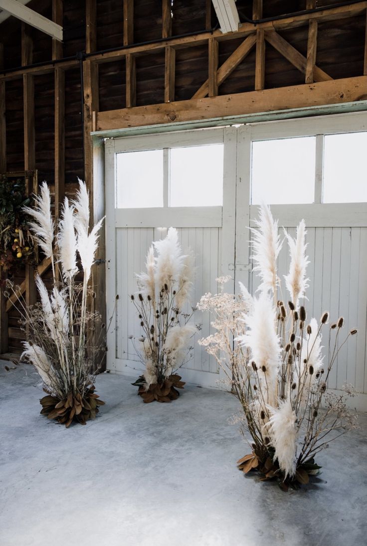 some white flowers and plants in front of a barn door