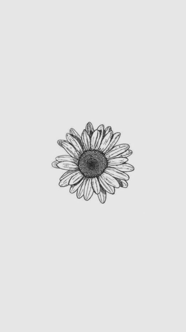 a black and white drawing of a sunflower