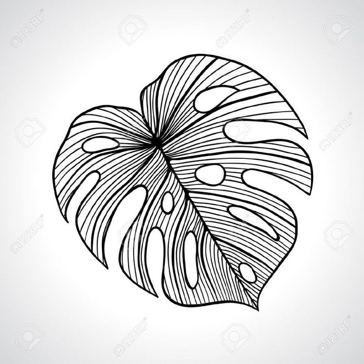 a black and white drawing of a leaf