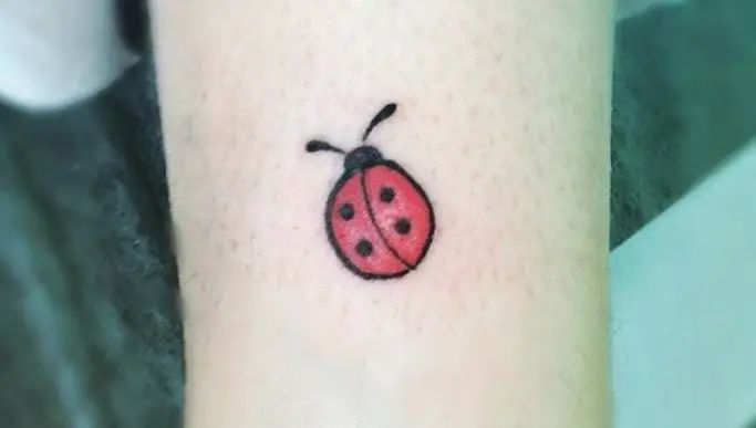 a small ladybug tattoo on the wrist is shown in black and red colors