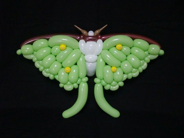 a green and white balloon butterfly on a black background