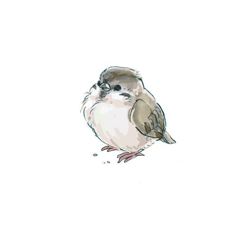 a drawing of a bird sitting on top of a white surface with one eye open