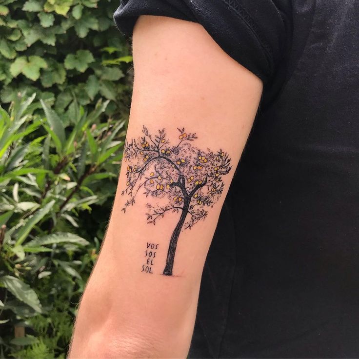 a person with a tree tattoo on their arm