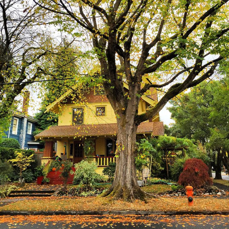 a yellow house with lots of trees in the front yard