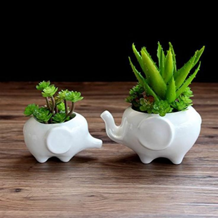 two white elephant planters with plants in them on a wooden table next to each other