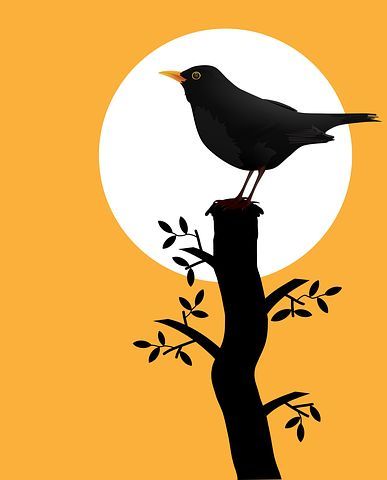 a black bird perched on top of a tree branch in front of a full moon