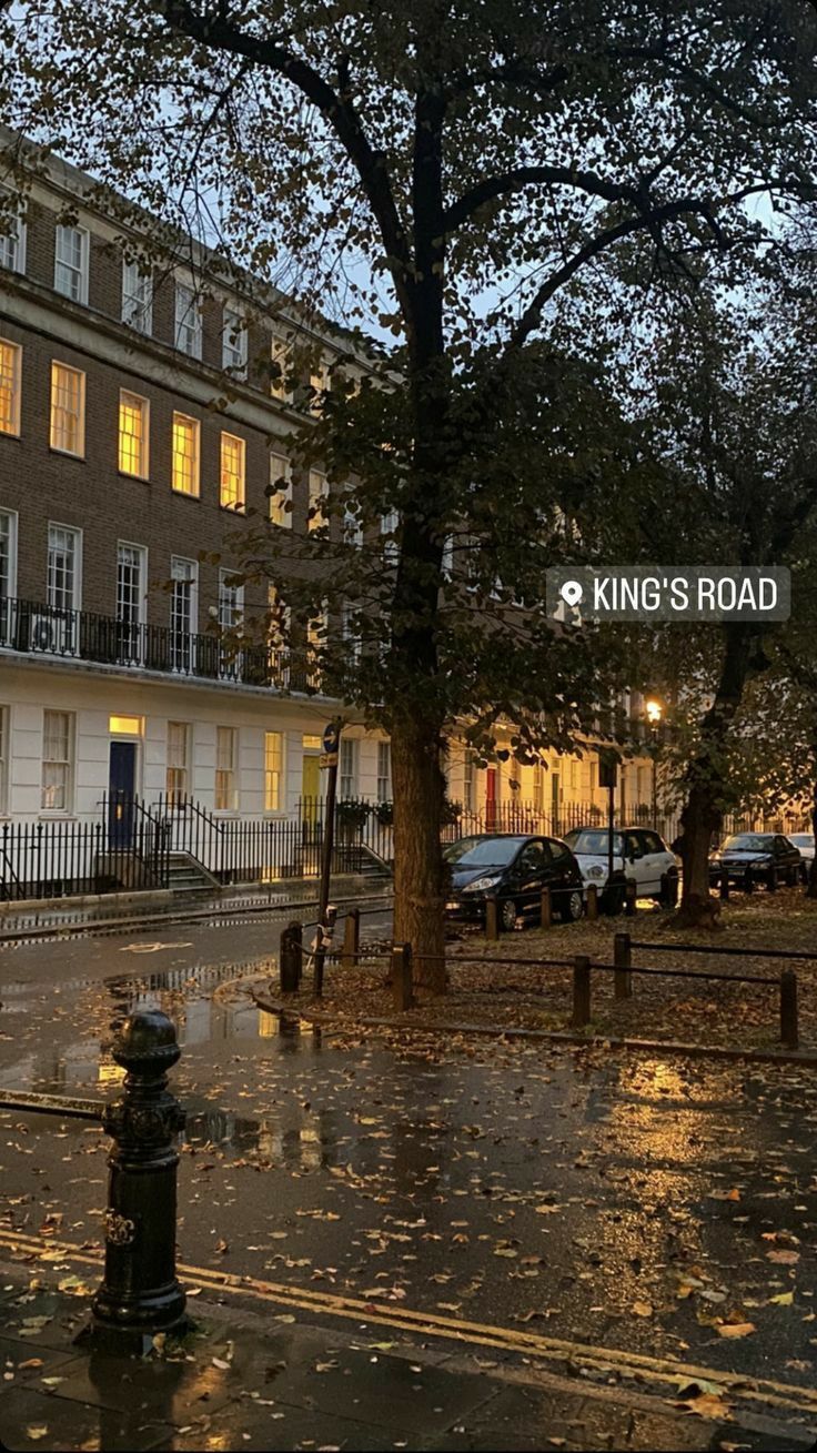 a city street at night with cars parked on the sidewalk and trees in the rain