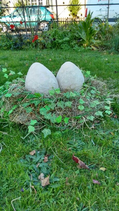 two rocks sitting in the grass next to each other on top of a patch of grass