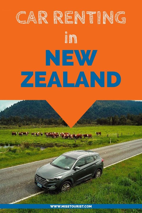 a car parked on the side of a road with cows in the background and text overlay that reads careening in new zealand