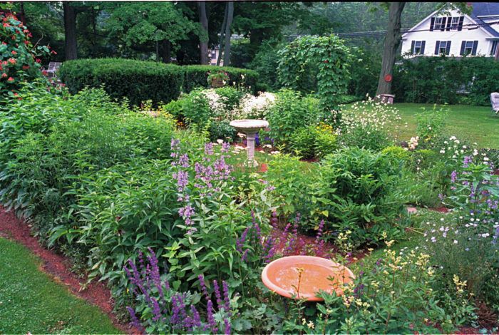 a garden filled with lots of different types of flowers and plants next to a bench