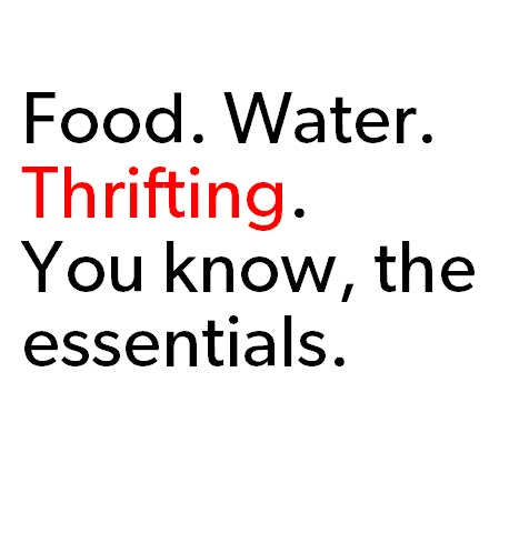 the words food water thrifting you know, the essentials are in red