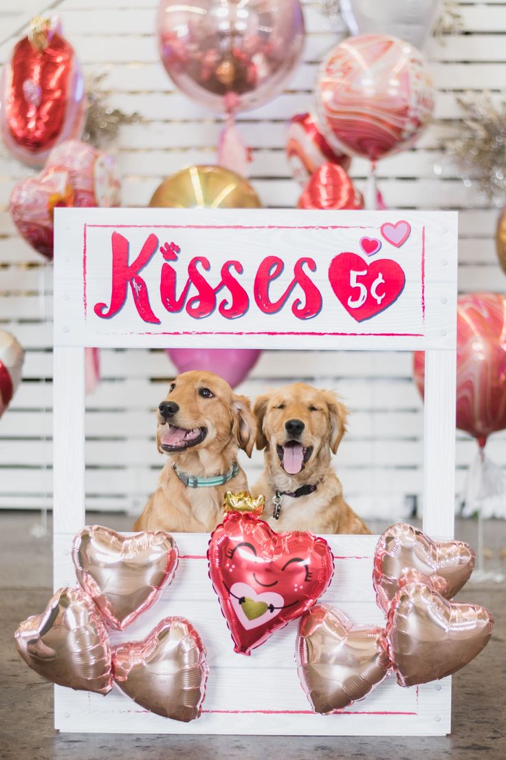 two dogs are sitting in a box with hearts and balloons around them that say kisses