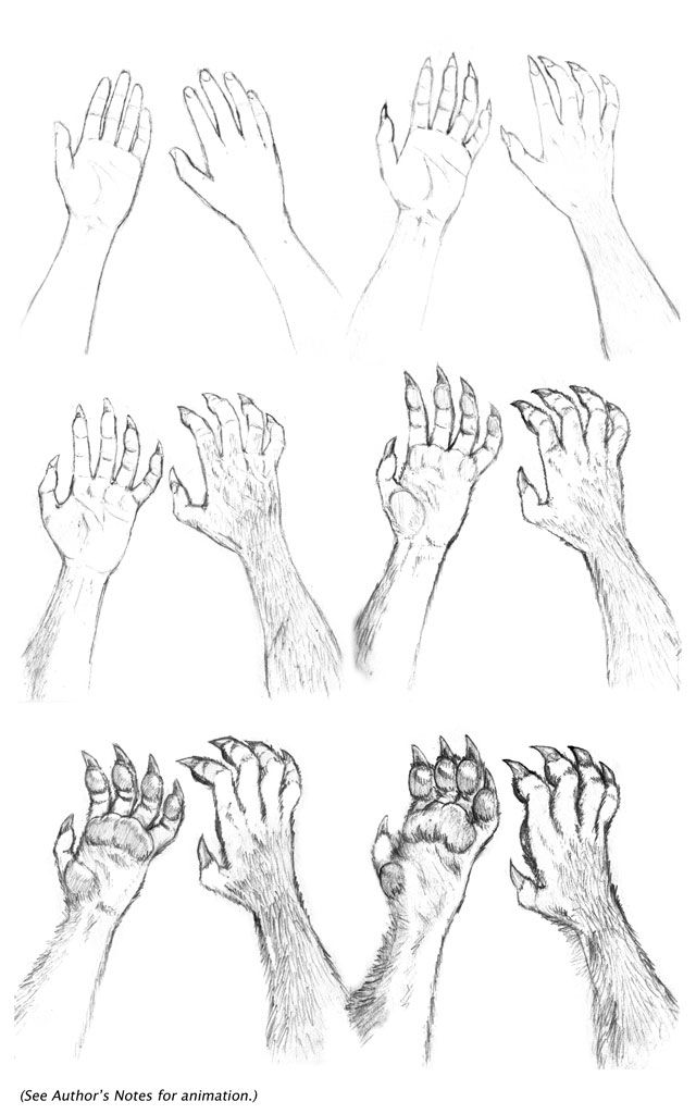 several hands are shown in different positions