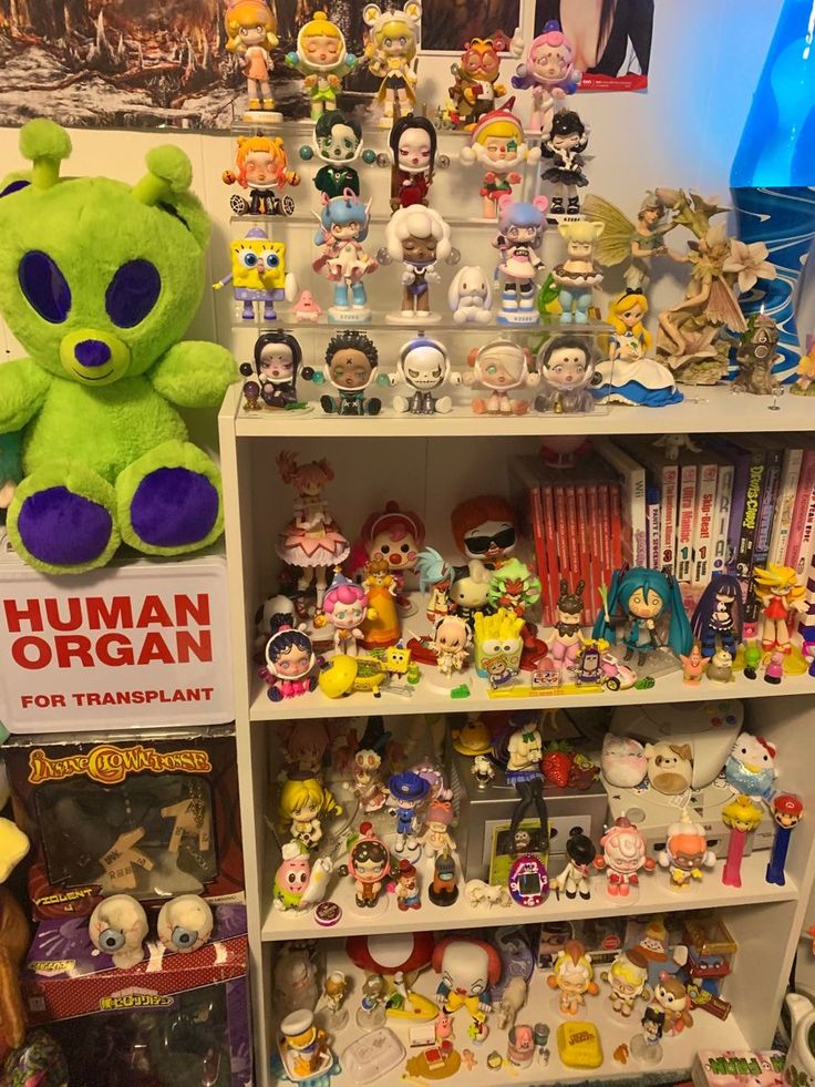 the shelves are filled with various toys and collectibles, including a green teddy bear